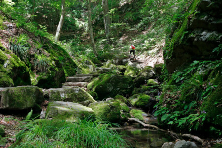 奥多摩　登山