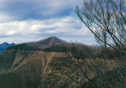 奥多摩　登山