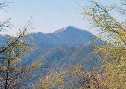 奥多摩　登山