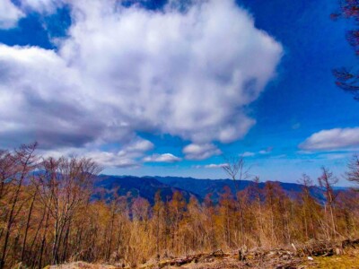 奥多摩　登山