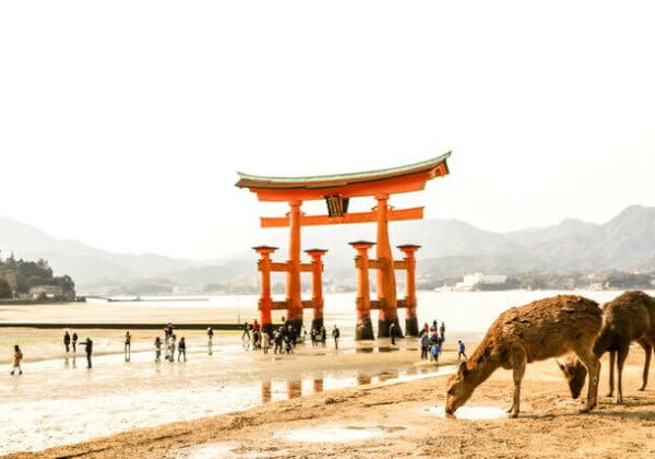 アウトドアショップ 広島