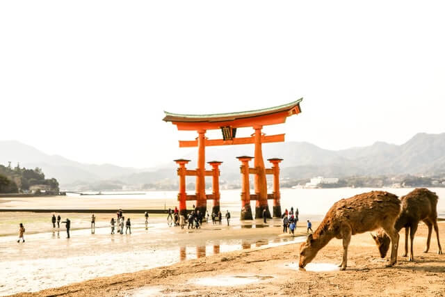アウトドアショップ 広島