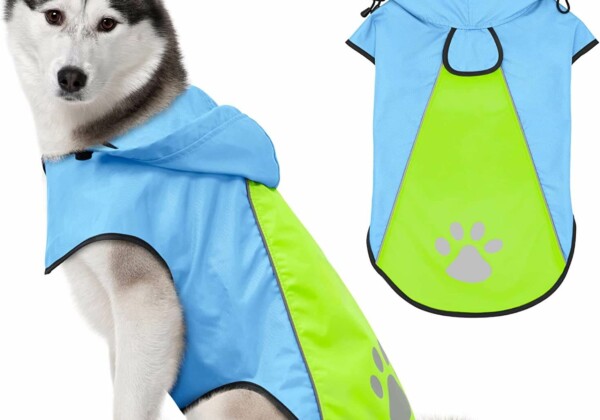 犬 レインコート 雨の日の散歩もこれで安心。犬用のレインコートおすすめ10選