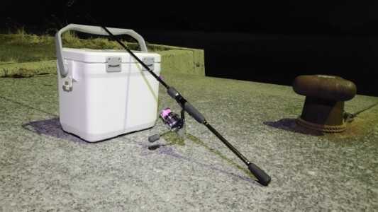 夜の港で釣りの準備中