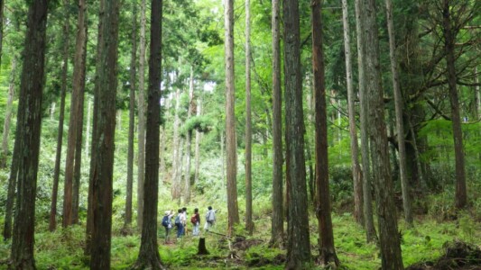 高野山